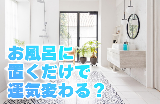 【風水】お風呂に観葉植物を置く効果とは？おすすめ・造花OK・NG例まで解説
