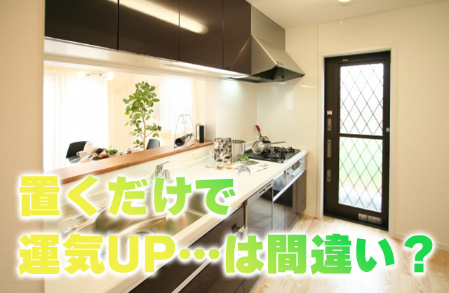 キッチンに観葉植物は風水的にあり？おすすめと“危険な置き方”まで解説